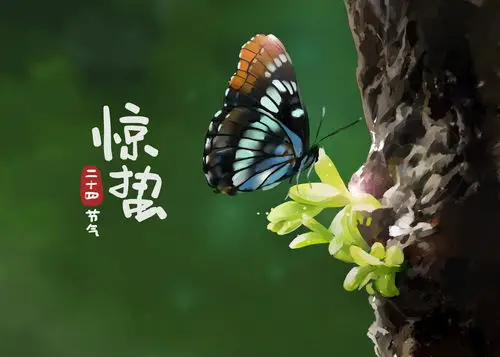 惊蛰：春之交响的激昂前奏-GOGO社区
