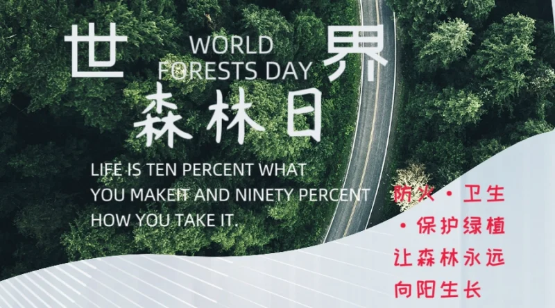 世界森林日：守护绿色宝库，共筑美好未来-GOGO社区