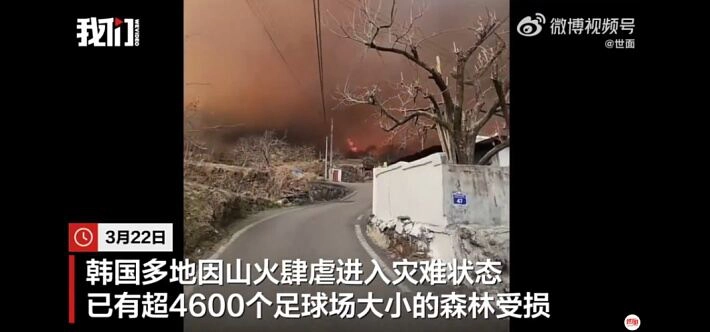 韩国山火肆虐，过火面积超4600个足球场-GOGO社区