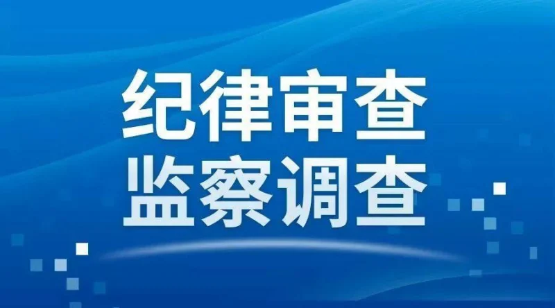 中国铜业所属企业专职董事李剡兵接受审查调查-GOGO社区