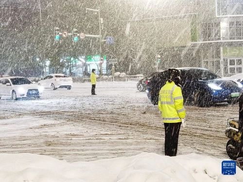 济南突降暴雪，气温骤降近20℃，市民出行受影响-GOGO社区