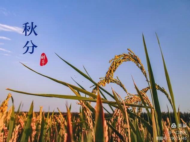 秋分时节的奇妙与科普-GOGO社区