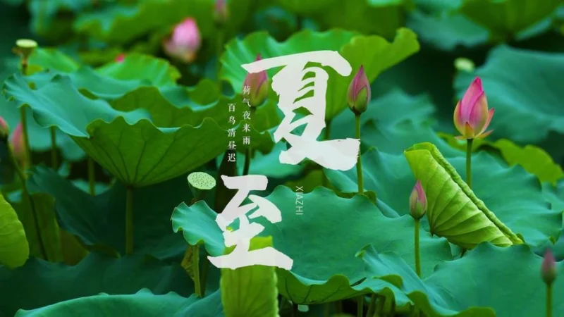 夏至：日光长至，岁时盛景-GOGO社区