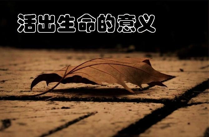 生命的意义-GOGO社区