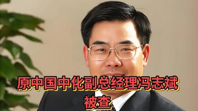 中央纪委出手！原中化集团副总经理冯志斌接受审查调查-GOGO社区