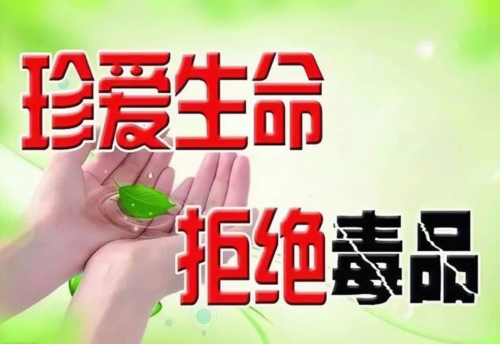 男子非法藏毒获刑15年 法律严惩筑牢禁毒防线-GOGO社区