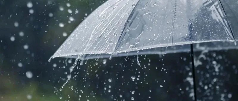降雨+降温+大风组团来袭！河北天气即将反转 | 预警-GOGO社区