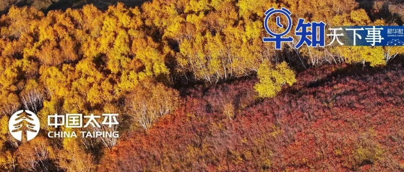 早知天下事-GOGO社区