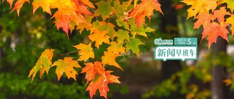来了！新闻早班车-GOGO社区