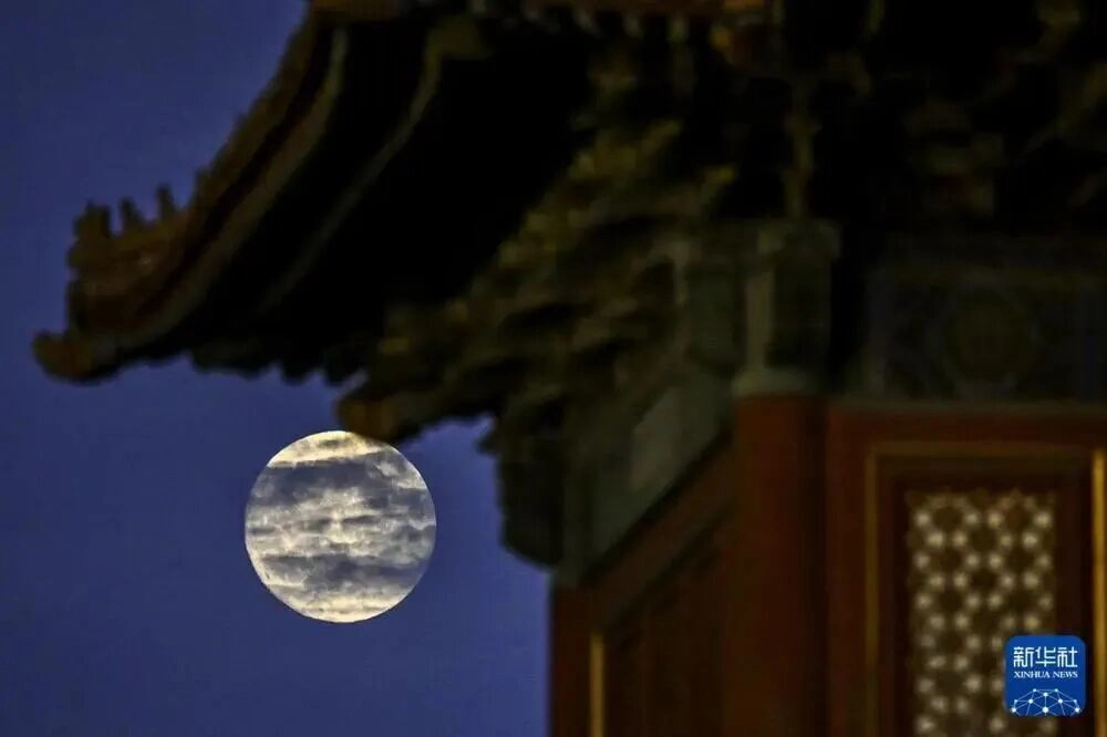 文章图片