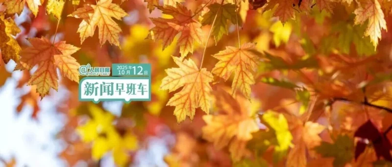 来了！新闻早班车-GOGO社区