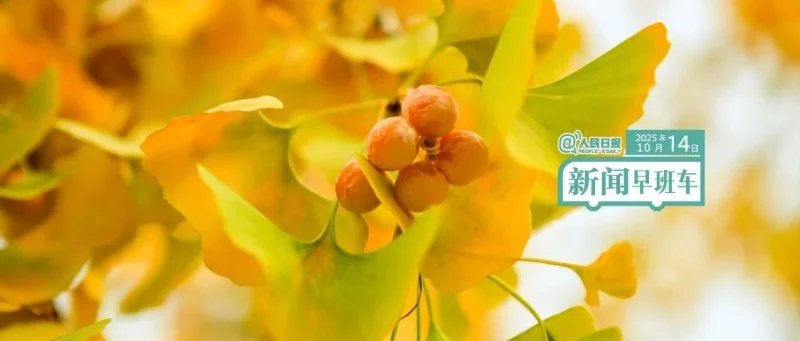 来了！新闻早班车-GOGO社区