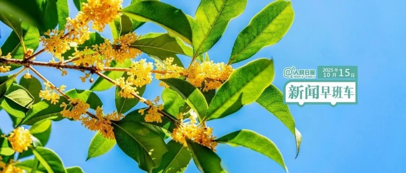 来了！新闻早班车-GOGO社区