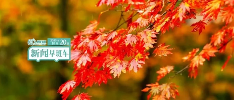 来了！新闻早班车-GOGO社区