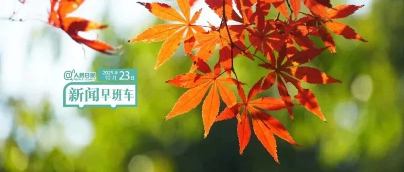 来了！新闻早班车-GOGO社区