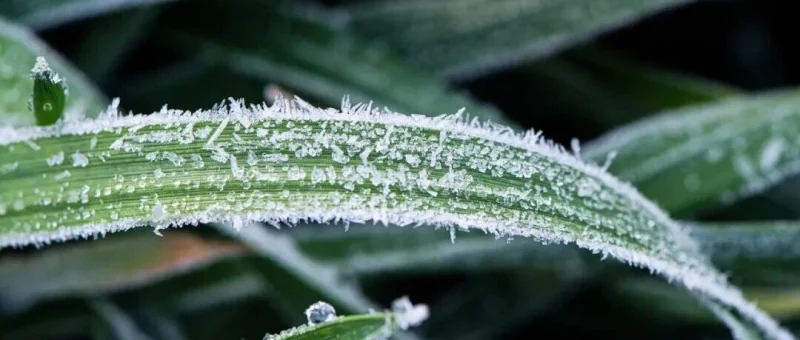 今日霜降-GOGO社区
