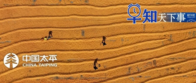 早知天下事-GOGO社区