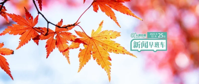 来了！新闻早班车-GOGO社区