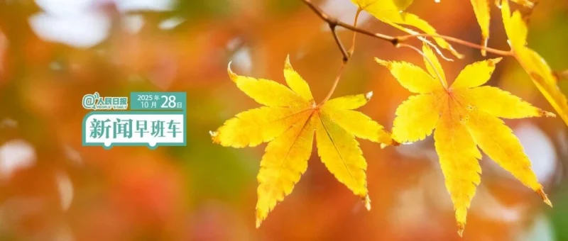 来了！新闻早班车-GOGO社区