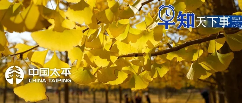 早知天下事-GOGO社区