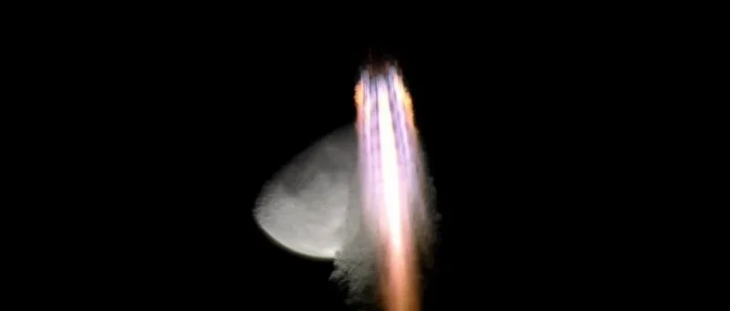 圆满成功！-GOGO社区