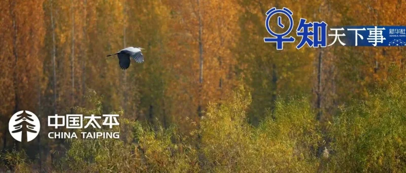 早知天下事-GOGO社区