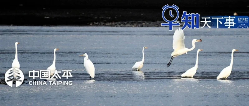 早知天下事-GOGO社区