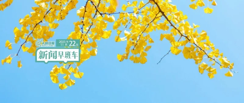 来了！新闻早班车-GOGO社区