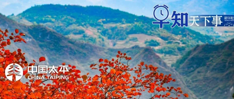 早知天下事-GOGO社区