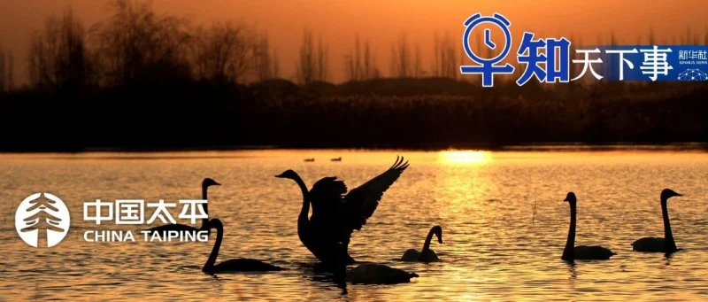 早知天下事-GOGO社区