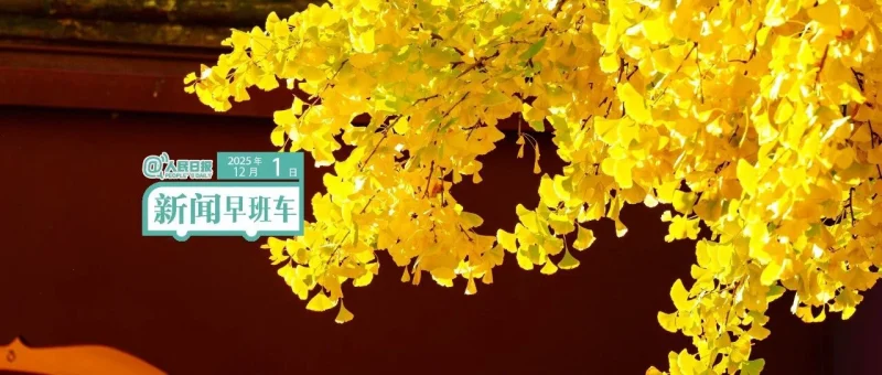 来了！新闻早班车-GOGO社区