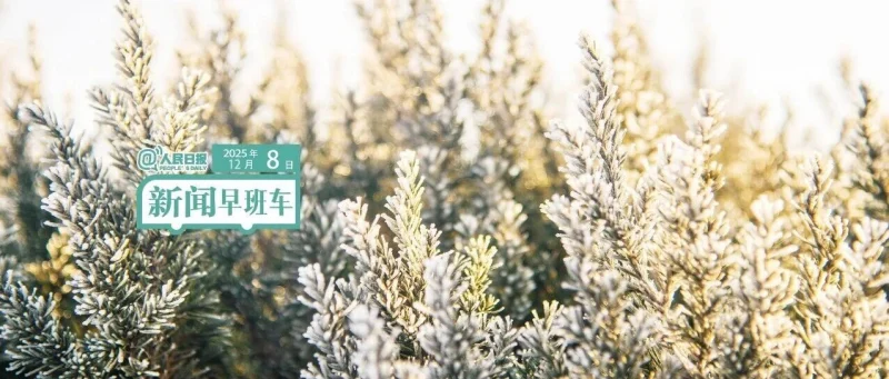 来了！新闻早班车-GOGO社区