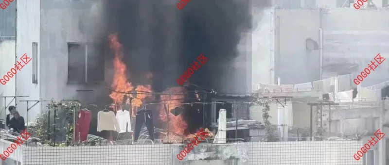 转发小区群：发现这样的邻居立刻投诉！-GOGO社区