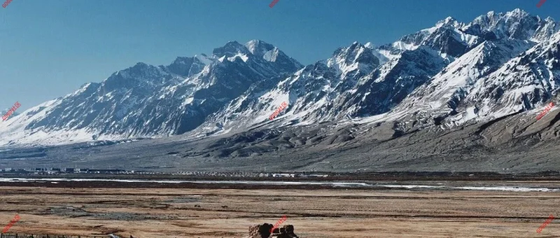 守护“沉睡的密码本”-GOGO社区