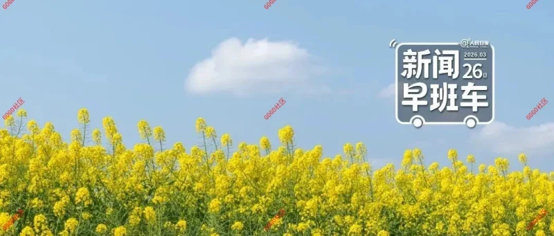 来了！新闻早班车-GOGO社区