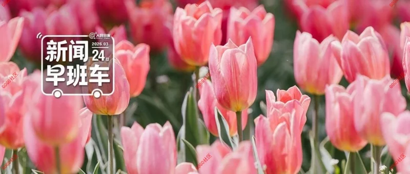 来了！新闻早班车-GOGO社区