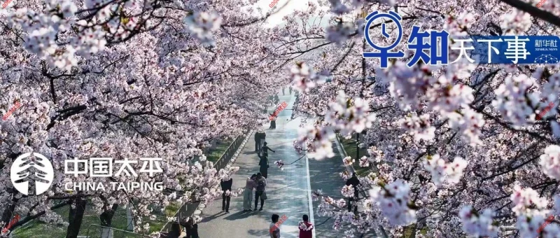 早知天下事〔2026.04.06〕-GOGO社区