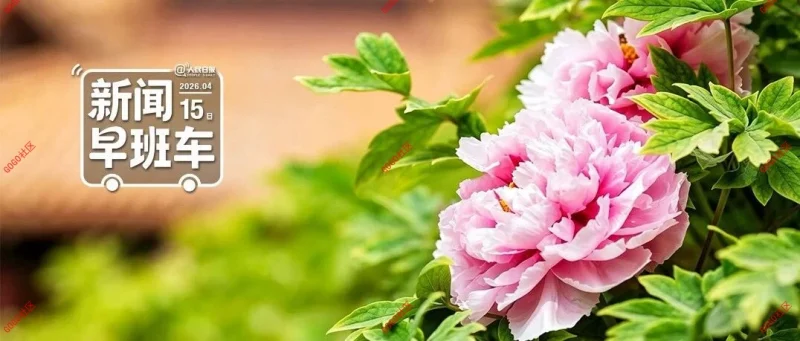 来了！新闻早班车-GOGO社区