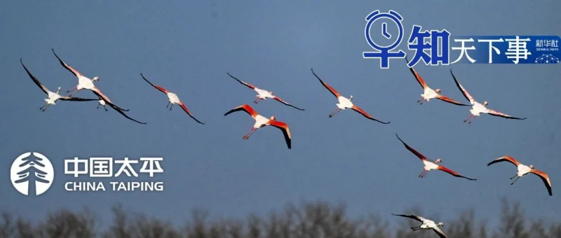 早知天下事-GOGO社区