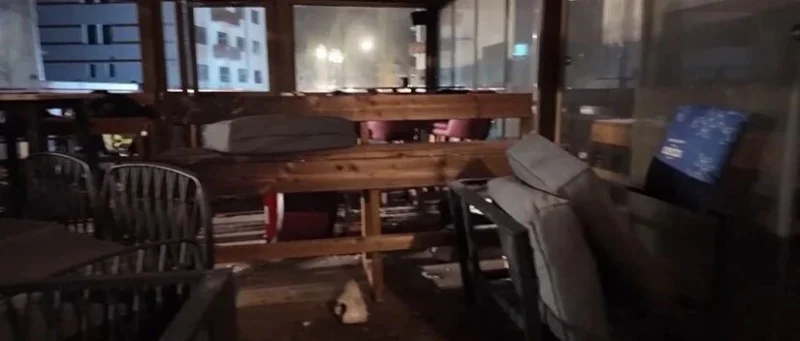 瑞士酒吧爆炸起火已致约40死115伤，多人伤势严重，暂无中国公民伤亡消息；瑞士联邦主席帕姆兰：取消新年致辞，瑞士联邦宫降半旗五天-GOGO社区